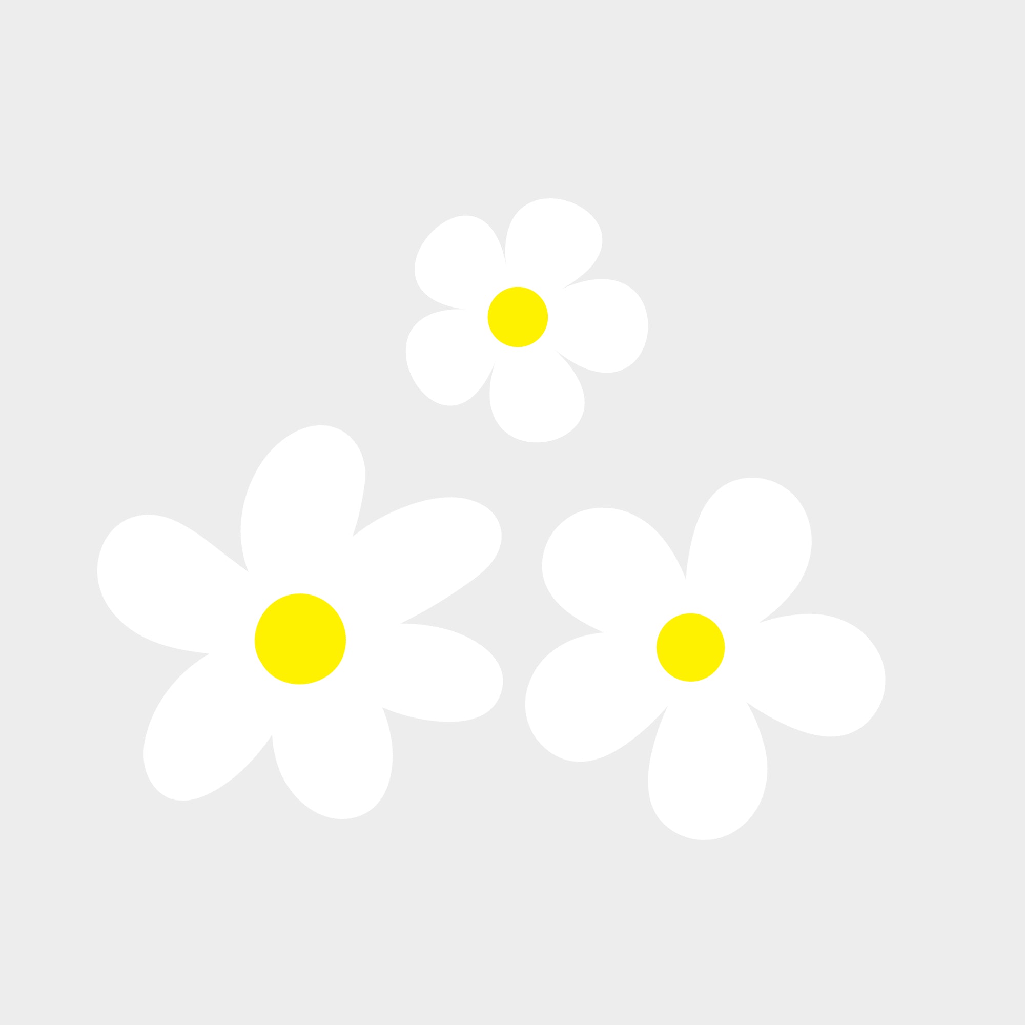 Weiße Blumen | All-over Transferfolie