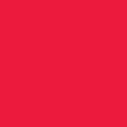 Rebel Red | French Terry | 180cm breit