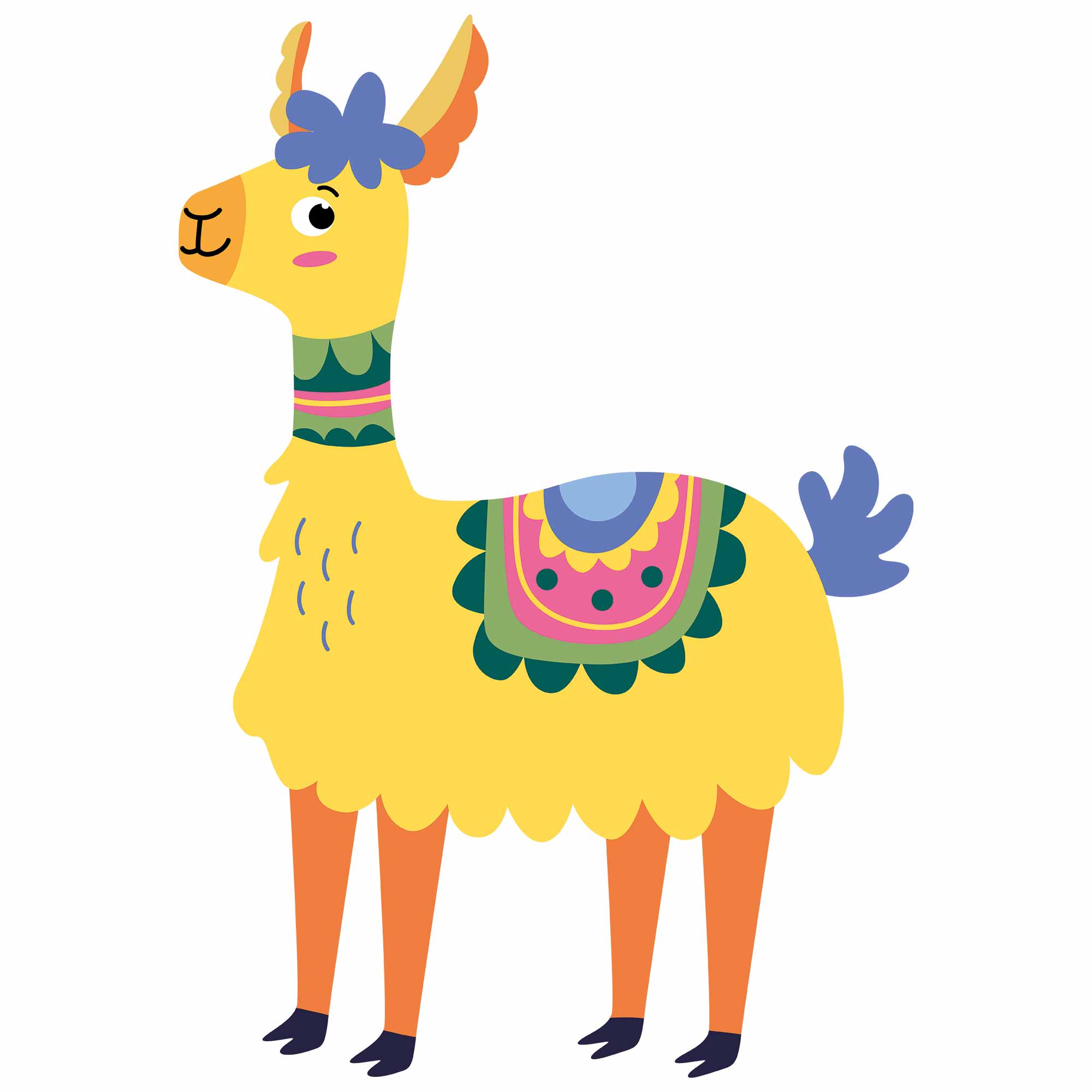 lama-5.jpg