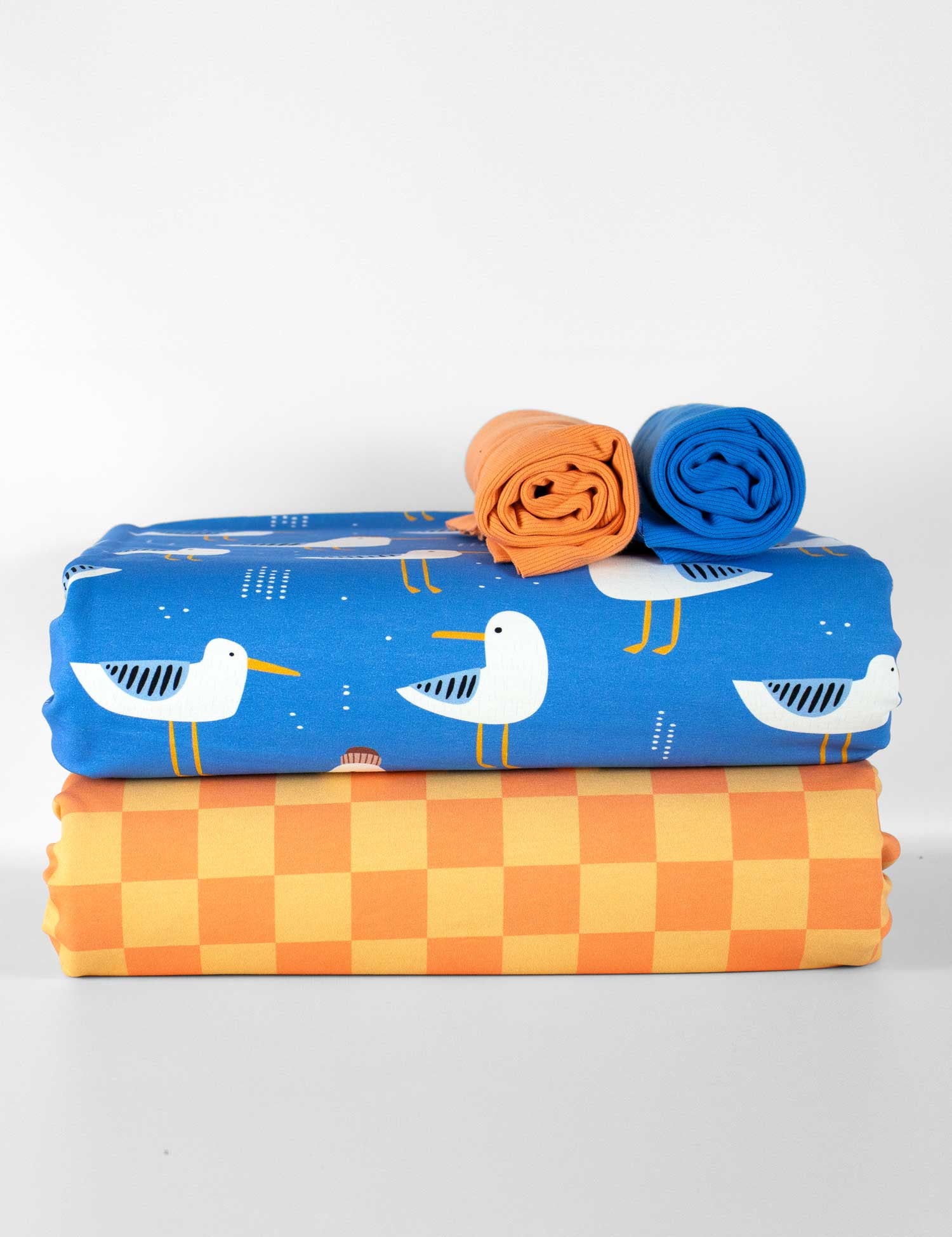 seagulls-orange-check.jpg